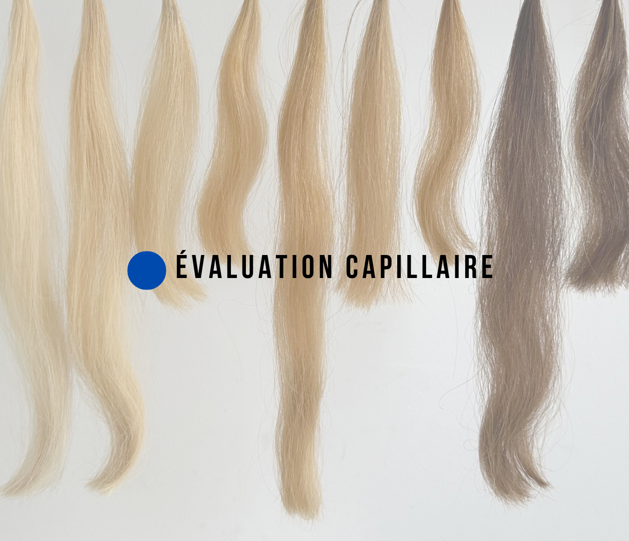 pôle d'évaluation capillaire